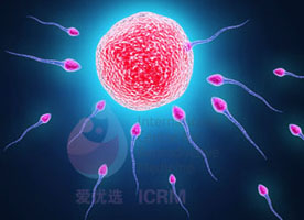 ICRM俄罗斯试管婴儿