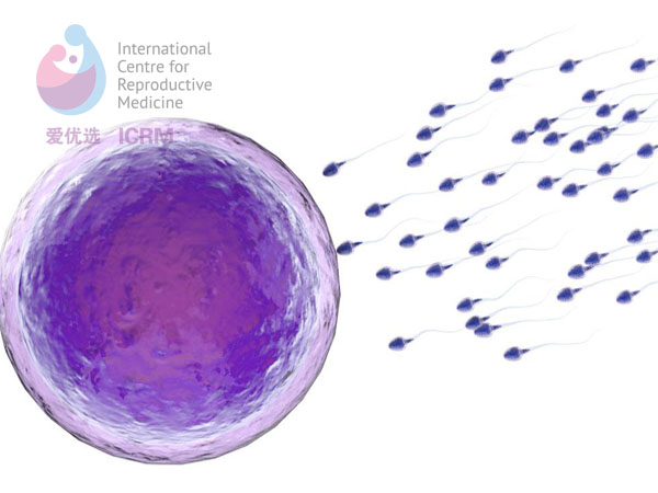 ICRM俄罗斯试管婴儿