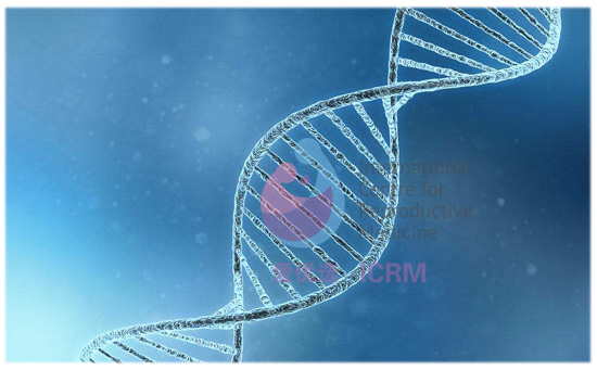 ICRM俄罗斯试管婴儿