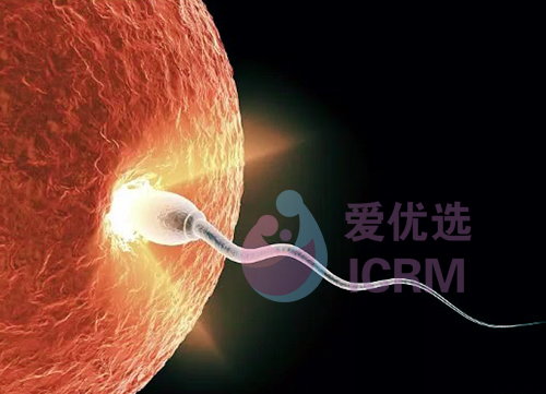 ICRM俄罗斯试管婴儿