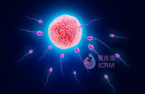ICRM俄罗斯试管婴儿