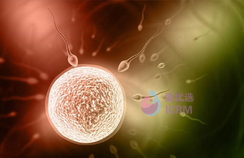 ICRM俄罗斯试管婴儿