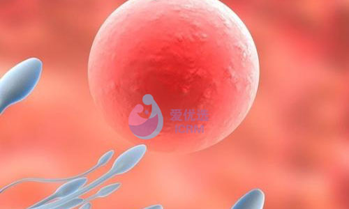 ICRM俄罗斯试管婴儿