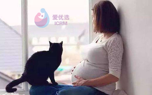 ICRM俄罗斯试管婴儿