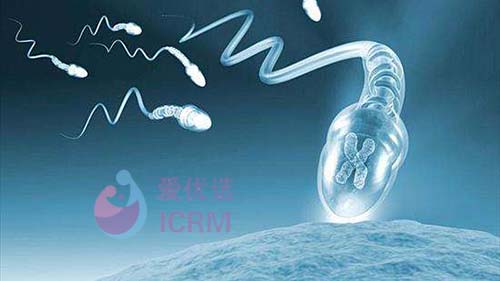 ICRM俄罗斯试管婴儿