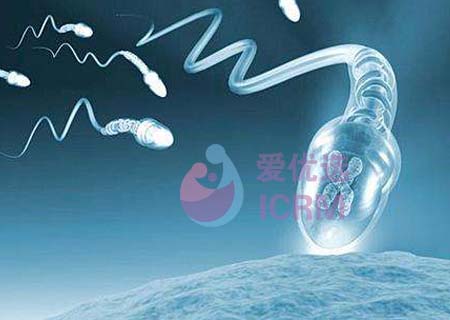ICRM俄罗斯试管婴儿