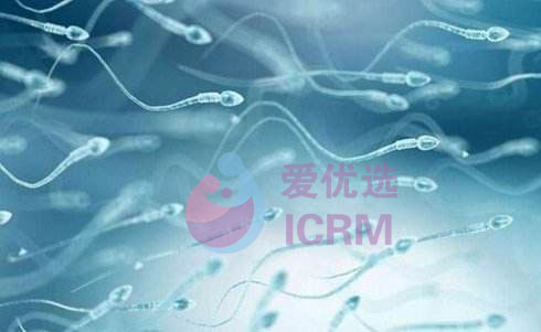 ICRM俄罗斯试管婴儿