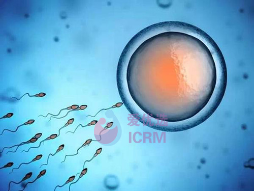 ICRM俄罗斯试管婴儿