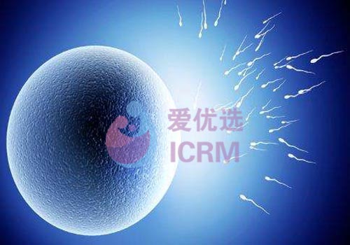ICRM俄罗斯试管婴儿