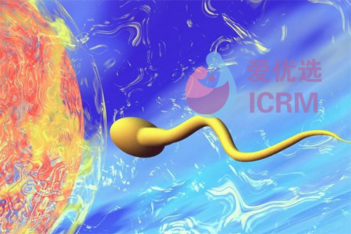 ICRM俄罗斯试管婴儿