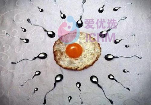ICRM俄罗斯试管婴儿