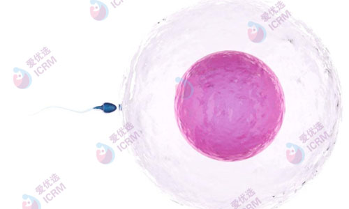 ICRM俄罗斯试管婴儿