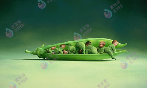 ICRM俄罗斯试管婴儿