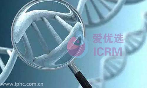 ICRM俄罗斯试管婴儿