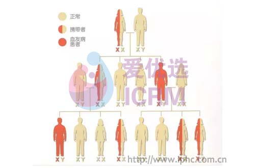 ICRM俄罗斯试管婴儿