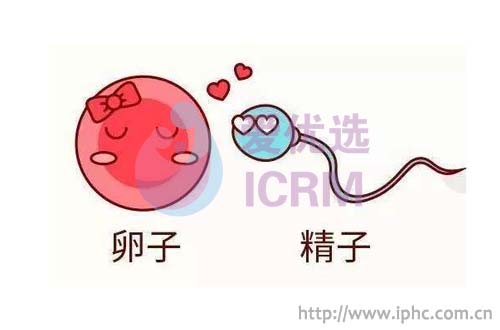 ICRM俄罗斯试管婴儿