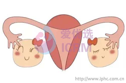 ICRM俄罗斯试管婴儿