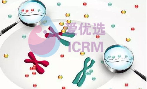 ICRM俄罗斯试管婴儿