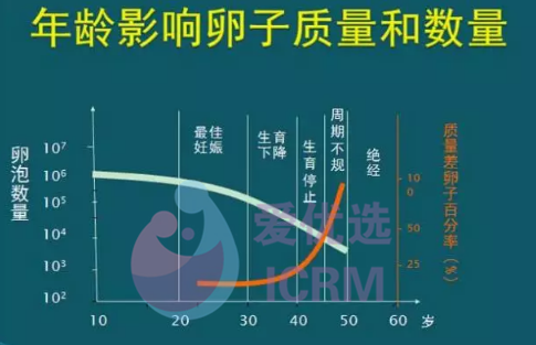 ICRM俄罗斯试管婴儿