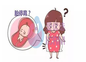 ICRM俄罗斯试管婴儿