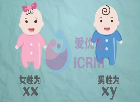 ICRM俄罗斯试管婴儿