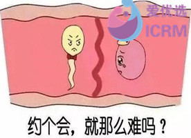 ICRM俄罗斯试管婴儿