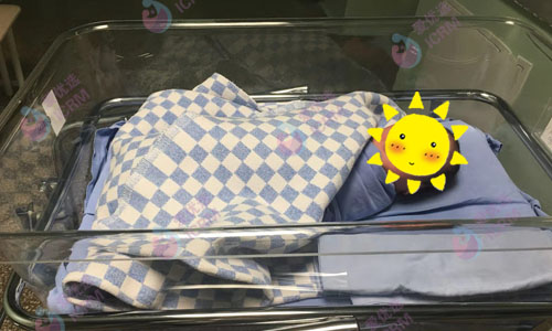 俄罗斯试管婴儿