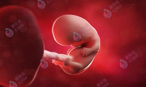 俄罗斯试管婴儿专家解读胚胎移植后的注意事项