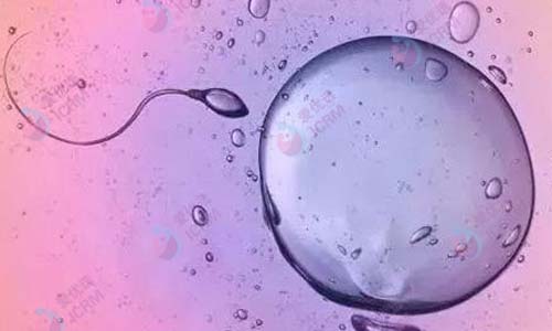 胎停育的原因和男性精子有关系吗？