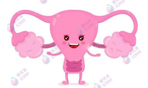 患始基子宫的女性还能怀孕吗