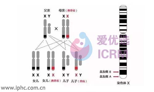 第三代试管婴儿为何受到大众的关注？