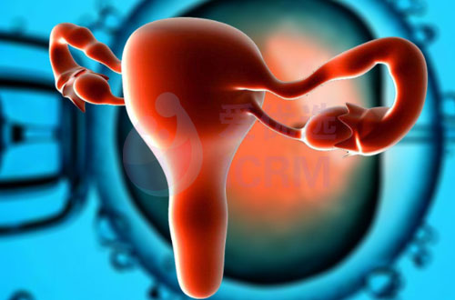 卵巢早衰的孕友究竟能不能做试管婴儿呢？