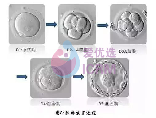 英国“超人母亲”将生第22个孩子!想生就能生的秘诀是什么?