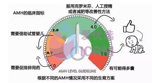 卵巢很脆弱，细心呵护才是好孕根本!