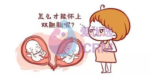 撒贝宁喜获龙凤胎~什么人更容易怀双胞胎?